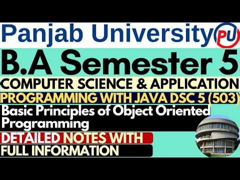 Basic Principles of Object Oriented Programming | BA Sem 5 Computer Science | Computer BA Sem 5