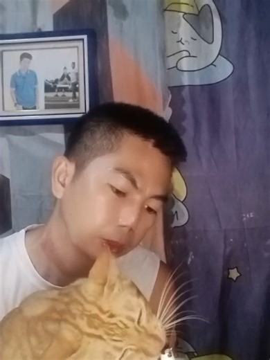 PetClear Hairball Remover Gel for Cats