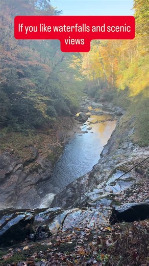 Yall check it out! #hollerlife #northcarolina #waterfalls #Appalachia | Waterfalls