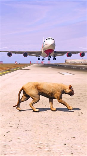 A Mountain Lion is Captured by an Airplane Landing Fault | Grand Theft Auto V ||