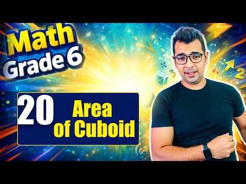 Surface Area of Cuboid | Math Grade 6 - Unit 13 Lesson 1| حل المعاصر