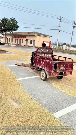 Sweeping the Grain: How a Modified Tricycle Gathers a Harvest from the Road