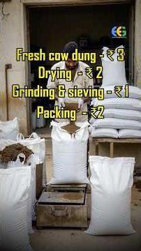 How to Export Cow Dung Powder from India | Complete Step-by-Step Business Guide