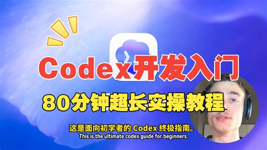 Codex开发入门教程，收藏起来慢慢看