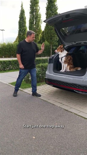 One second can change everything. 🐾🚗