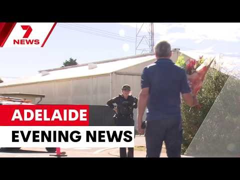 New details on the crash at Parafield Airport; heroic Hanhndorf fire victim | 7NEWS Adelaide