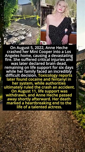 Anne Heche’s Final Days: The Tragic Crash That Changed Everything