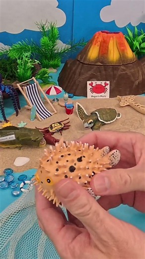 Pufferfish Blows Up! 🐡💨 | Spiky Animal Fun Facts