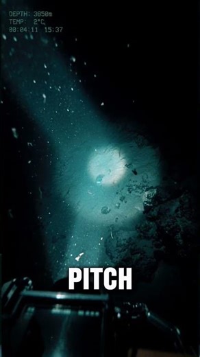 The Ocean Is Hiding Creatures Like This… 😳