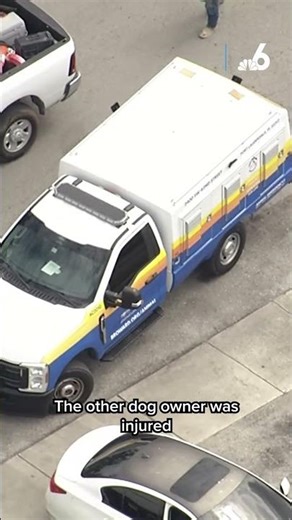 2 dogs killed, 2 hurt after owner opened fire during fight in Fort Lauderdale, cops say