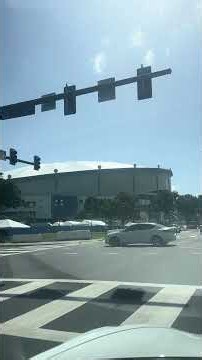 Game Day at Tropicana Field