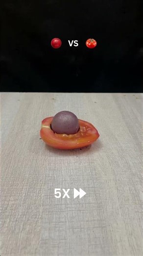 Red Hot Ball VS Tomato Part 2 #experiment #asmr #satisfying