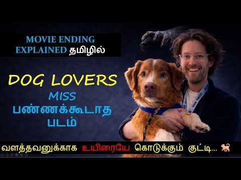 குட்டி ஒரு GOOD BOY 🐕 DOG LOVERS MUST WATCH #movie #endingexplained #dog #review #tamilvoiceover