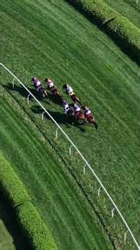 Christophe Clement Turf Stakes Drone View 🚁