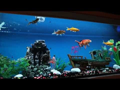 Scientific Ethics and Hybrid Creation Explained: The Complete Guide