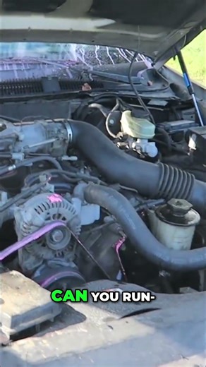 MythBusters: Cooking Oil in Car Engine? #shorts