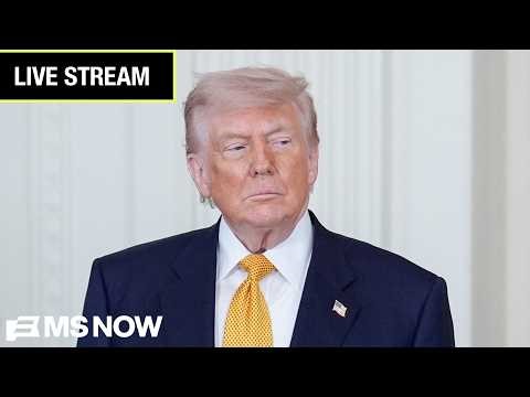 LIVE: Trump delivers remarks at the White House
