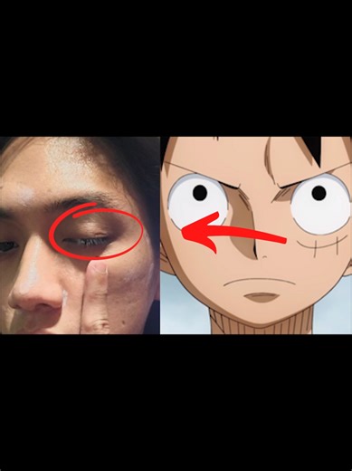 Unveiling the Connection: Stefano and Luffy in Anime