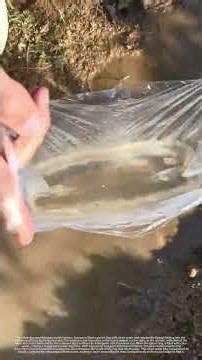 The clean water bag locally clarifies the view around the bracelet