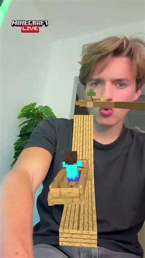 Completing all the Minecraft filters 🤣