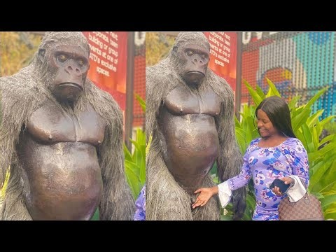 Most Funniest Reaction Bushman Prank 2026!