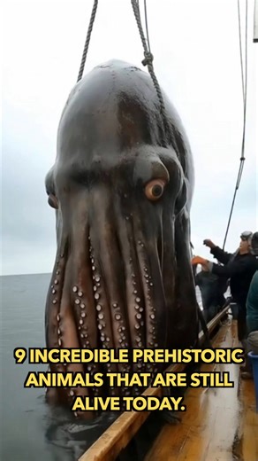 9 incredible prehistoric animals that are still alive today. | Engineering & Science