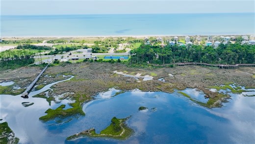 Spring Break Itinerary Highlight: Salinas Park Nestled on the scenic south end of 30E Cape San Blas, FL, Salinas Park offers a rare blend of bayfront serenity and Gulf-side adventure. Stretching from St. Joseph Bay to the wide beach along the Gulf, this park is a favorite for both relaxation and recreation. Guests can explore a boardwalk that extends into St. Joseph Bay—perfect for launching kayaks or canoes—or stroll along the Serenity Trail Boardwalk, an elevated observation walkway with bench