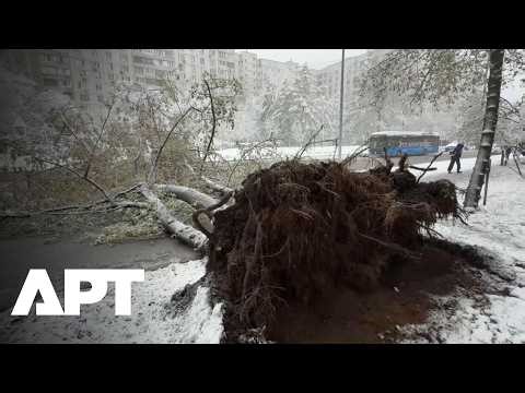 WATCH | Moscow Caught Off Guard As Snowstorm Sweeps Through City | APT