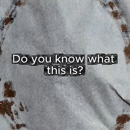 Anthony on Instagram: "Straight out of Alien 👽💥 This 3D printed chestburster is ready to make your cosplay or Halloween outfit unforgettable. Who’s brave enough to wear one? 😱 #Alien #chestburster #fyp #viralreels #3dprintingservices #cosplayprops #scifihorror #HalloweenCostume #movieprops #3dprinted #aliencosplay #custom3dprints #nerds #giftideas"