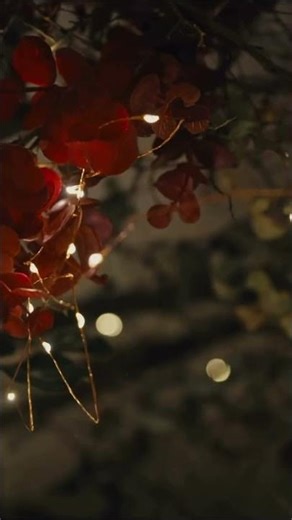 Yes, you can lay on your belly during pregnancy