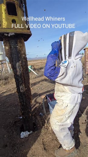 Killer Bees: Understanding Invasive Honeybee Behavior