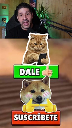Gato VS Perro quien ganará