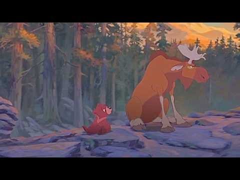 Brother Bear 2: Rutt (2006) (With Picture) (16)