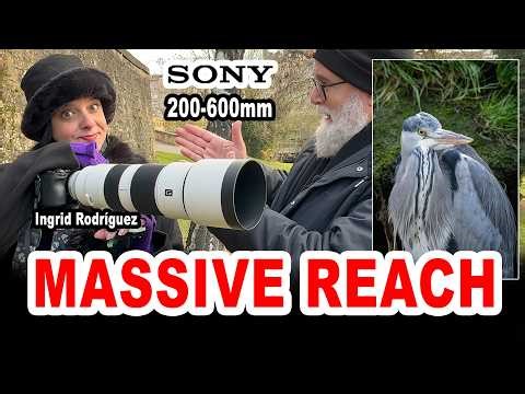 Sony 200-600mm F5.6-6.3 G OSS Super Tele Lens first impressions in the field – IN ENGLISH
