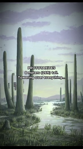 Giant mushrooms ruled Earth before trees... 🍄