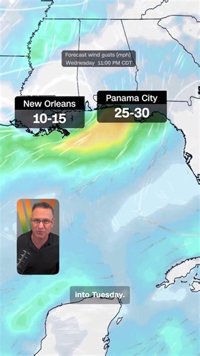 Tropical Storm Bertha forms in the Gulf