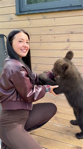 Curious Bear Cubs Explore Wildlife Shelter in the Urals