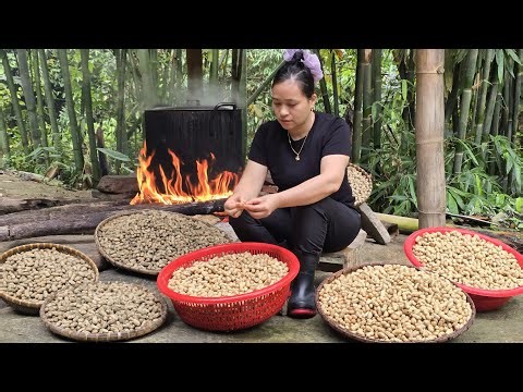 A Pot of Boiled Peanuts - Taking Them to the Market - Fixing the Vegetable Garden - Feeding the Pigs