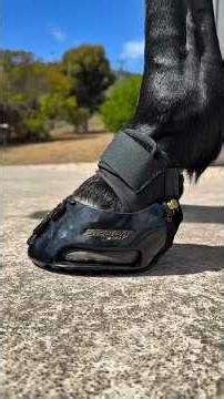 Why Are Horses Wearing Shoes Now? 🐎😱 Horse Boots Explained #shorts