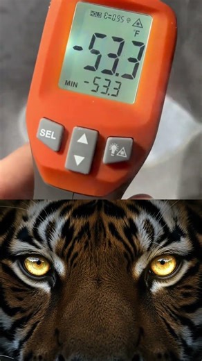 Scientific Observation of an Apple” 🍎👀 #apple #shorts #science