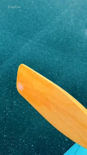 Who Is MrBeast Following on TikTok?