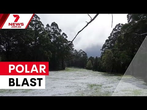 Cold snap brings first winter freeze to southeast | 7NEWS
