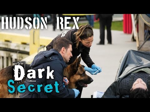Hudson & Rex Season 9 Episode 1 | Charlie’s Return Comes With a Dark Secret!
