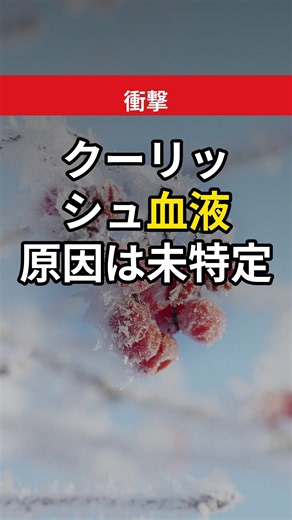 クーリッシュに血液混入 ロッテが調査結果を発表 #Shorts