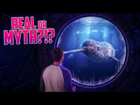 Narwhals Explained: The REAL Unicorns of the Sea!