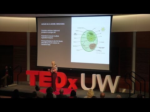The Innovation Hidden in What We Overlook | Amanda Parkes | TEDxUWMadison