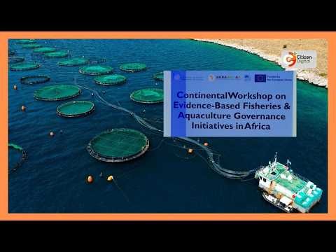 African states urged to strengthen fisheries governance