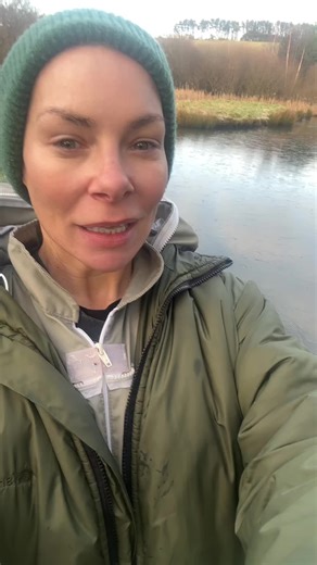 Unusual Sight at My Hives: Frozen Wetlands