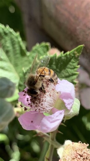 The Doomsday Clock Explained