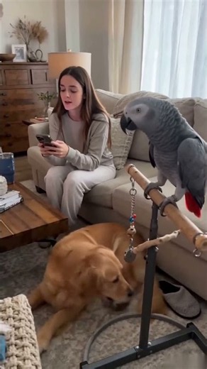 Viral Parrot Tells Everyone To Clean Up 🦜😂 | Funny African Grey Parrot